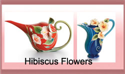 Hibiscus Flower Collections from Franz